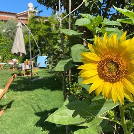 Lemon-Ada Butik Otel Kusadası Exterior foto